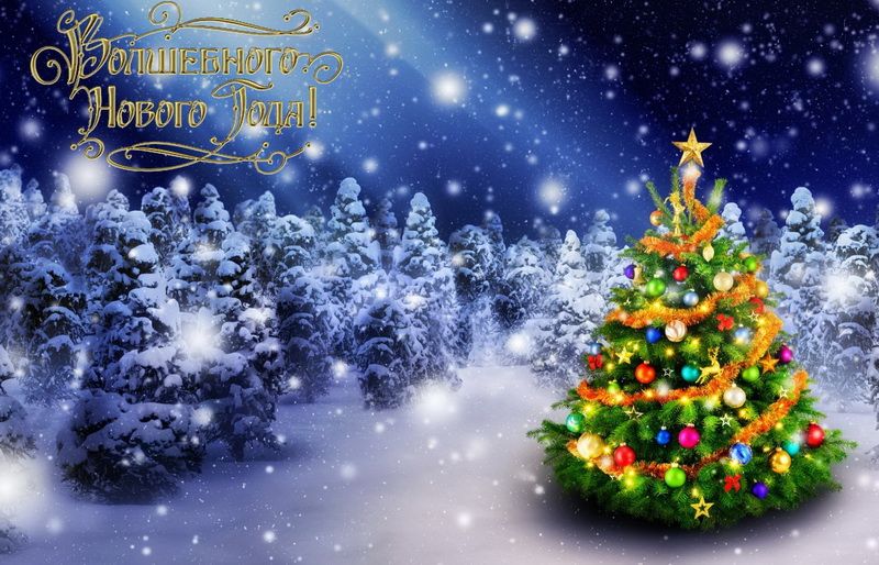 newyear